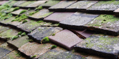 Great Hampden roof repair costs